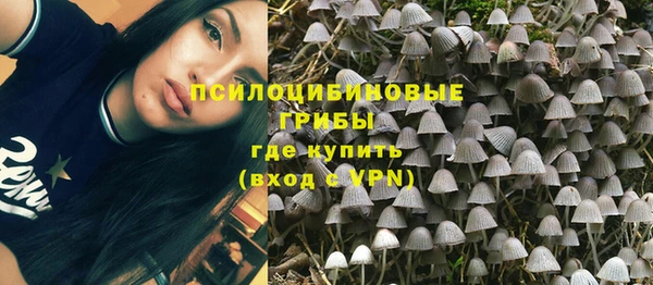гашиш Богородицк