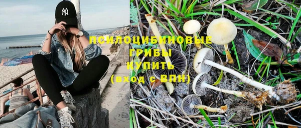 гашиш Богородицк