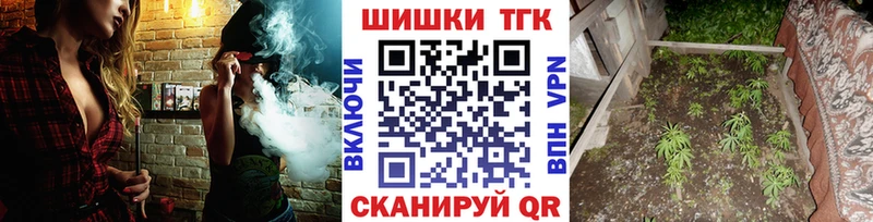 Конопля сатива Купить Ладушкин
